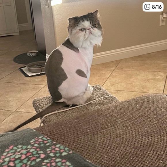 (Live show) happy Aloha Wednesday 2-24-26 🌺🌺🌺🌺 - Picture 6 of 10